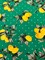 Green Lemon Polka Dot Print Double Brushed Jersey Knit Fabric By the Yard